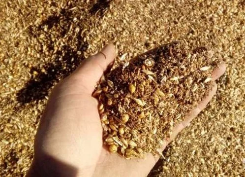 Закуповуємо зерновідходи зернові, олійні, бобові - фото № 1