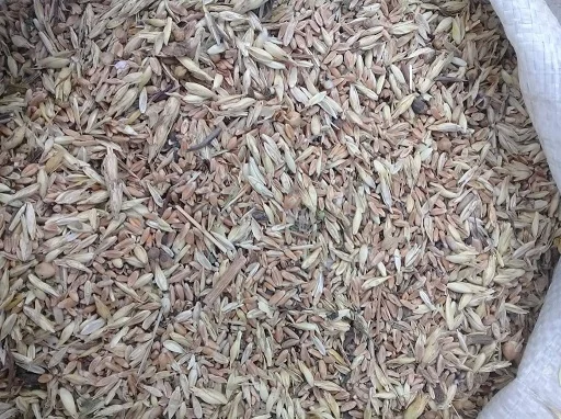 Куплю некондицию і зерновідходи - фото № 1