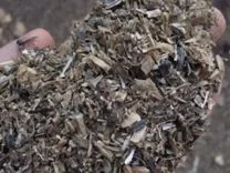 Закупаем отходы подсолнечника, рапса, сои в любых количествах - фото № 3