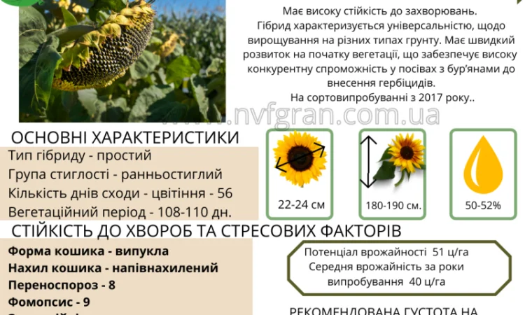 Бери!!! Насіння соняшника та (або) кукурудзи та гарантовано отримуй знижку - фото № 11