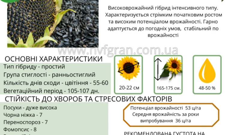 Бери!!! Насіння соняшника та (або) кукурудзи та гарантовано отримуй знижку - фото № 7