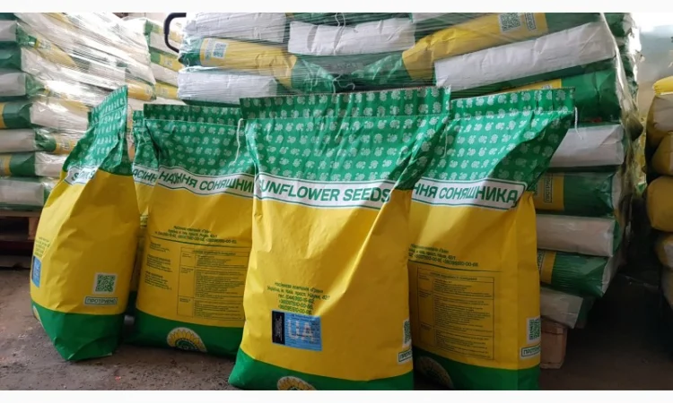 Насіння СОНЯШНИКА та Кукурудзи за доступними цінами - фото № 1