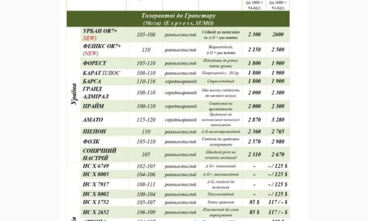 Насіння СОНЯШНИКА та Кукурудзи за доступними цінами - фото № 6