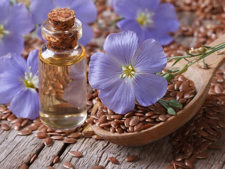 Купую з нового врожаю фенхель, гірчицю, льон - фото № 1