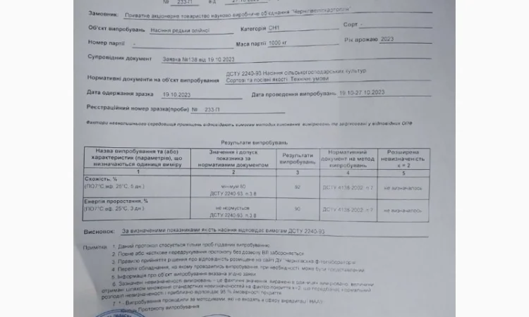 Насіннєва олійна редька - фото № 4