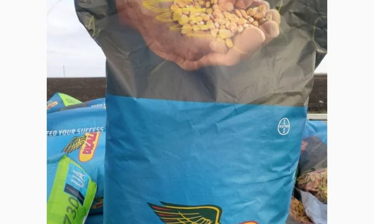 Насіння соняшнику та кукурудзи ДКС, ПІОНЕР, СИНГЕНТА оригінал, імпорт - фото № 1