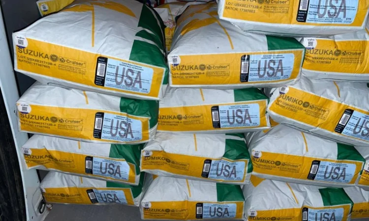 Насіння соняшнику та кукурудзи ДКС, ПІОНЕР, СИНГЕНТА оригінал, імпорт - фото № 4