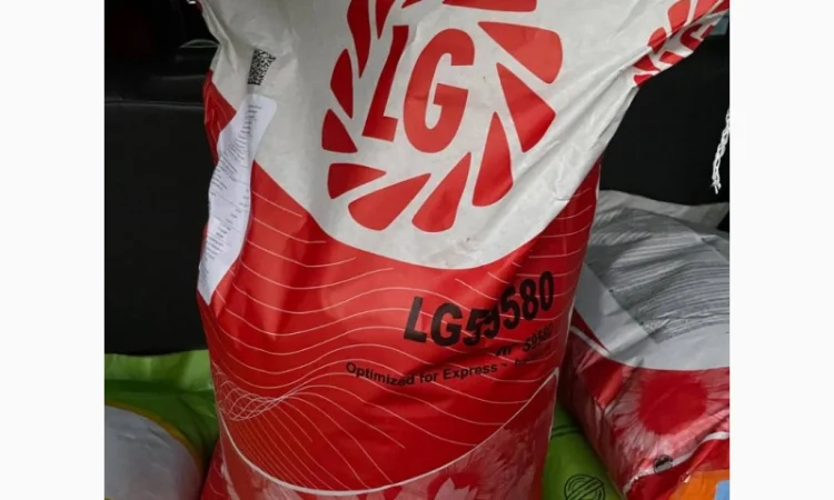 Насіння соняшнику та кукурудзи, залишки 2022 року врожаю, знижки, оригінал - фото № 2