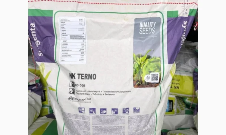 Насіння соняшнику та кукурудзи від Сингента 2022рік врожаю - фото № 4