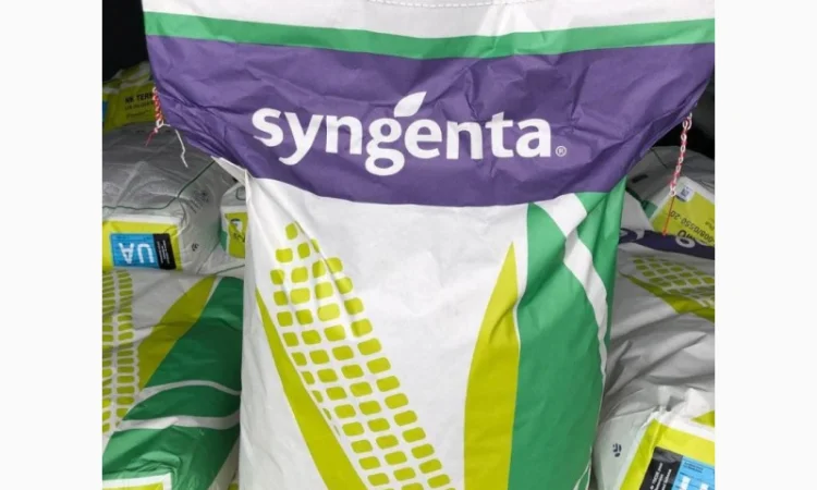 Насіння соняшнику та кукурудзи від Сингента 2022рік врожаю - фото № 2