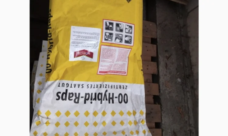 Продам насіння соняшнику та кукурудзи Прайм, Фієста, Хотин та ріпаку Шерпа - фото № 6