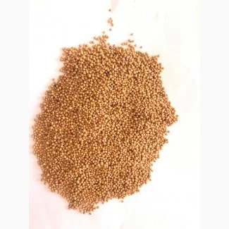 Продается желтая горчица урожая 2023 года - фото № 1