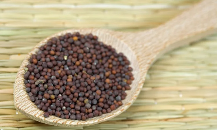 Продается горчица черная и белая оптом - фото № 1