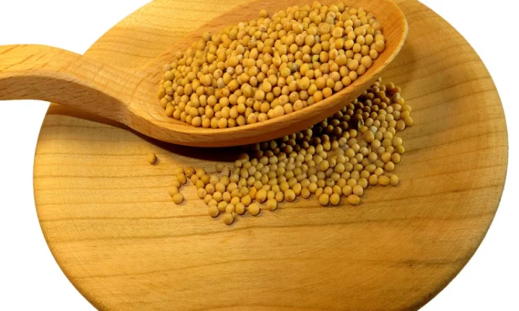 Продается белая горчица высокого качества - фото № 1