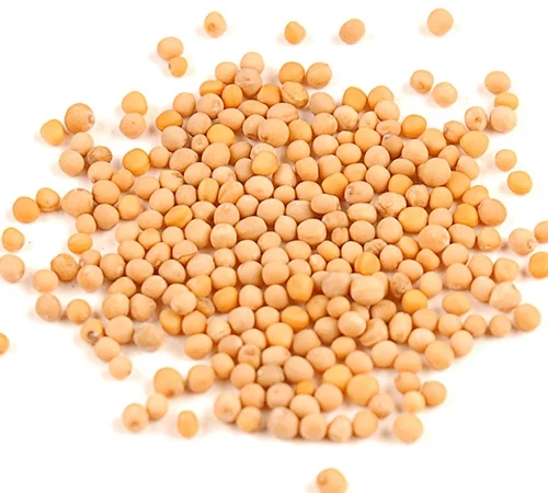 Насіння гірчиці біла - фото № 1