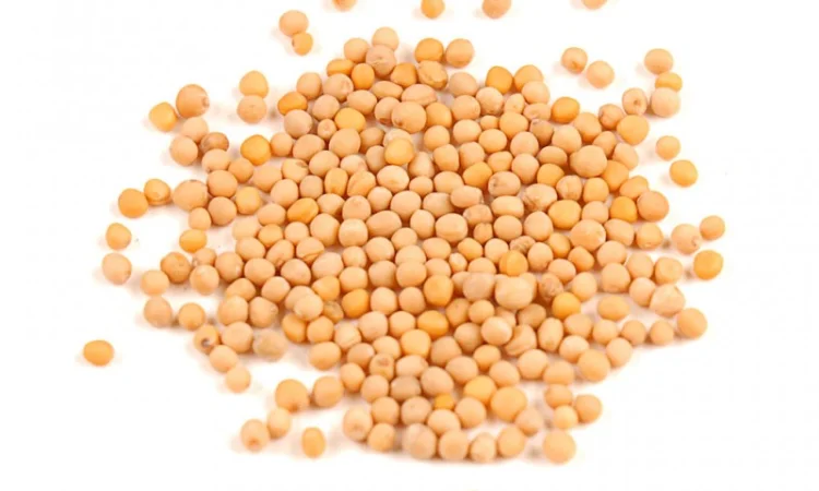 Пропонується горчица, ціна договірна - фото № 1