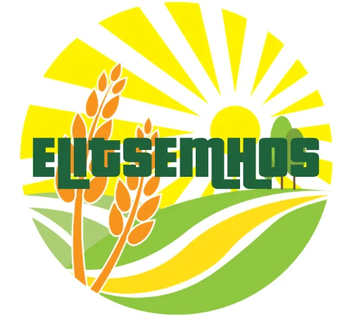 Продаются семена яровых культур – Коріандр - фото № 1