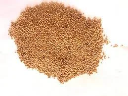 Продам гірчицю білу сорт Андромеда - фото № 1