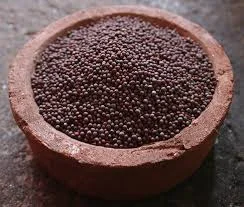 КУПЛЮ насіння гірчиці - фото № 1