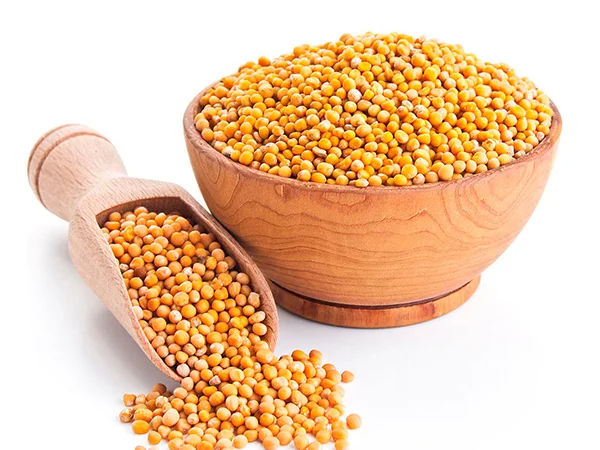 Закуповуєм насіння гірчиці / Скупаем семена горчицы - фото № 1