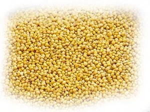 Куплю горчицу - фото № 1