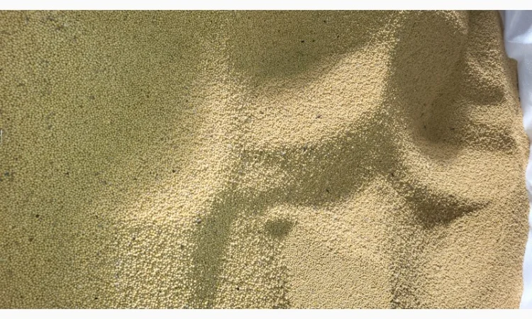 Продам гірчицю білу - фото № 1