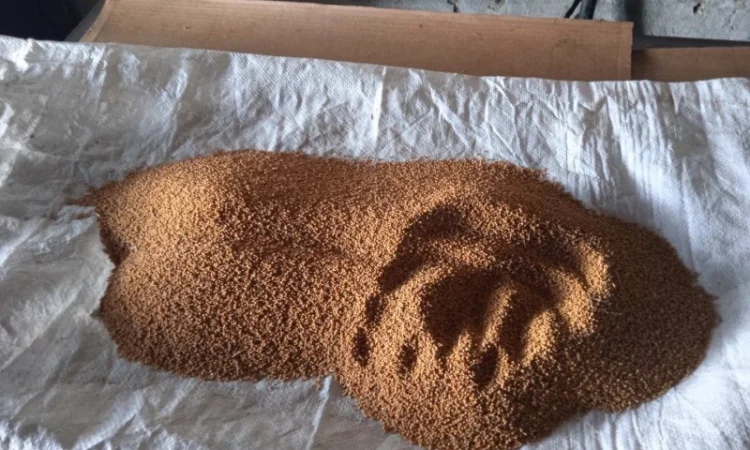 Продам жовту гірчицю - фото № 7