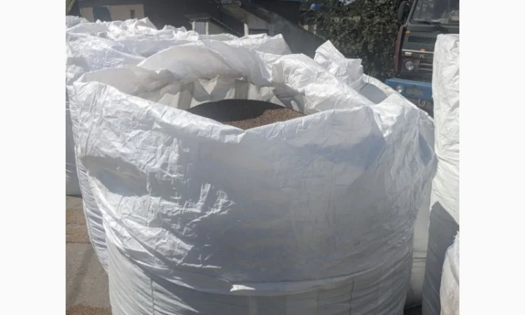 Коріандр дворучка сорт Оксаніт Еліта 1 репродукція - фото № 8