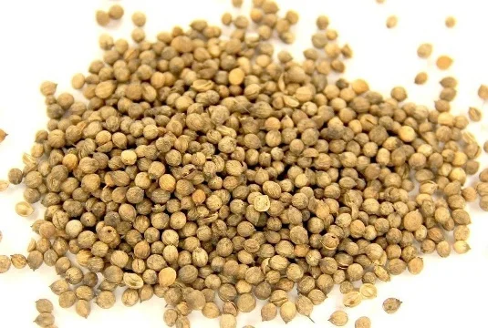 Куплю Кориандр - фото № 1