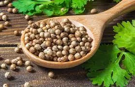 Продам коріандр 200 т, Миколаївська обл - фото № 1