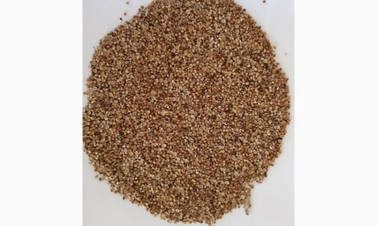 Кориандр половинки очищенные - фото № 1