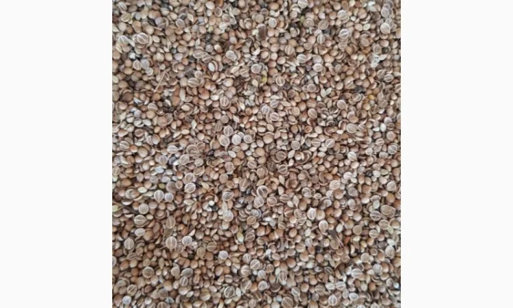 Кориандр половинки очищенные - фото № 2