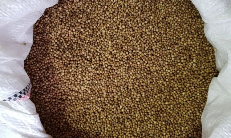 Кориандр целый - фото № 1