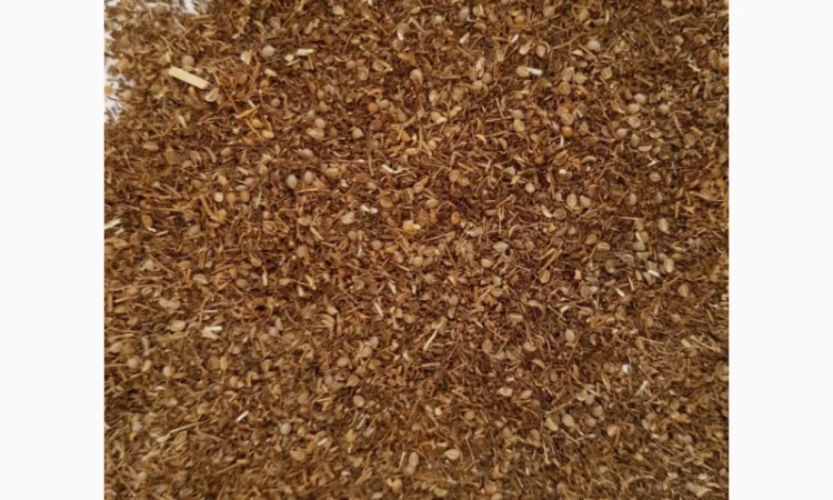 Кориандр отход после очистки - фото № 1