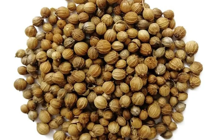 Купуємо коріандр - фото № 1