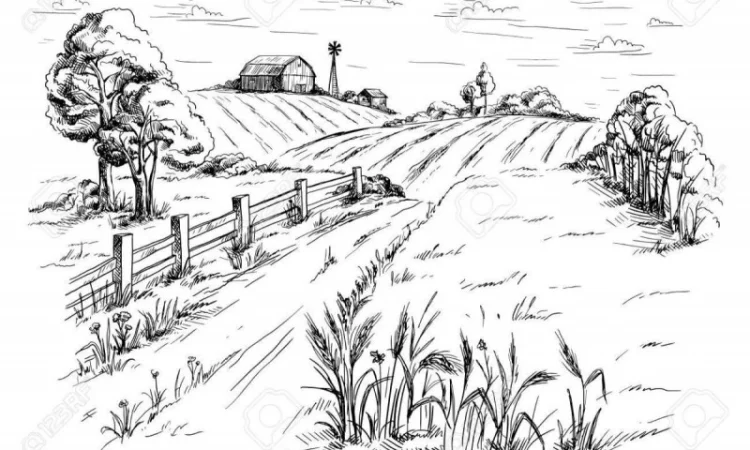 Закупаем ЖИТО постоянно. Самовывоз. Быстро - фото № 1