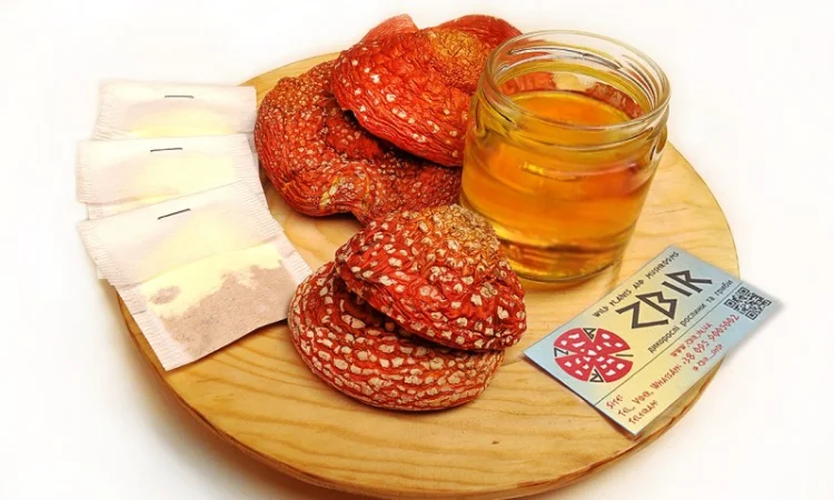 Чай з червоного та пантерного мухомора у пакетиках від ZBIR - фото № 3