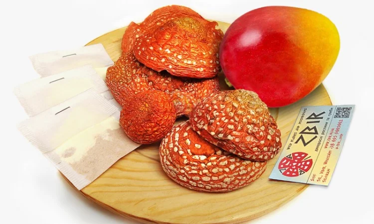 Чай з червоного та пантерного мухомора у пакетиках від ZBIR - фото № 4