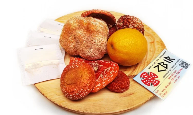 Чай з червоного та пантерного мухомора у пакетиках від ZBIR - фото № 5