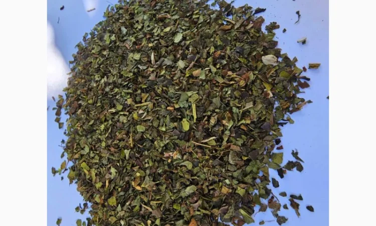 Чай зелений байховий, Грузія. Високої якості і смаку. Натуральний, без аром-ів, без барв-в - фото № 2