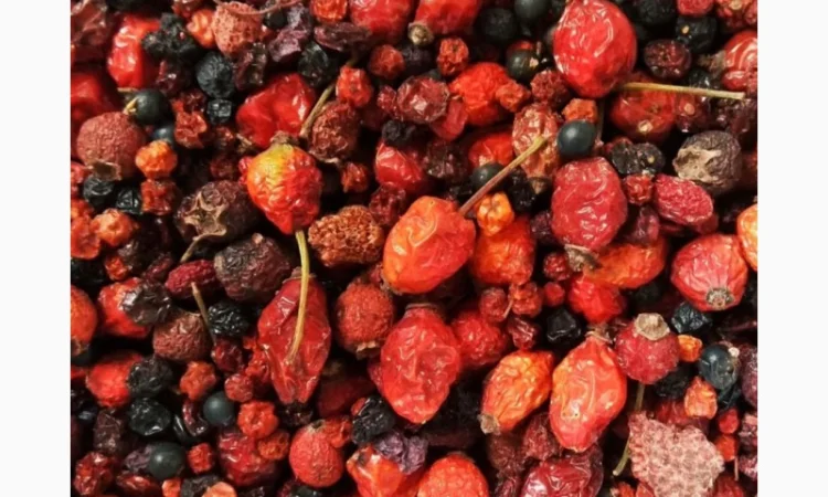 Ягідний чай «Карпатські полонин» - фото № 1