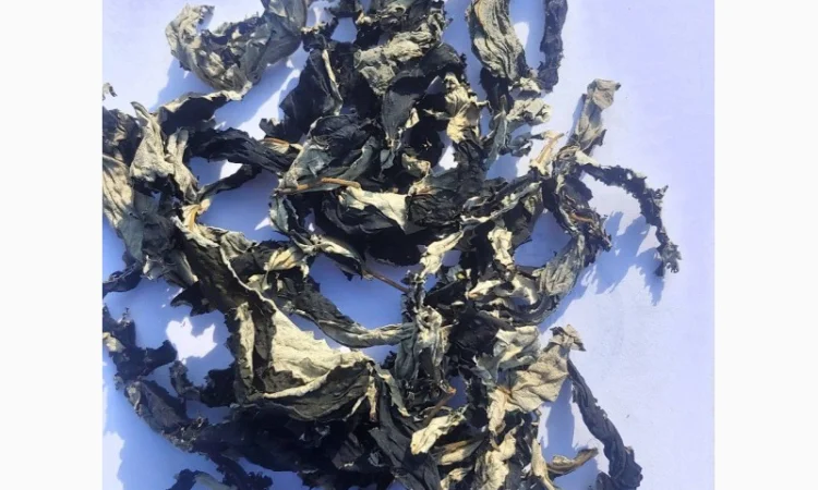 Лист Малини Ферментований - фото № 4