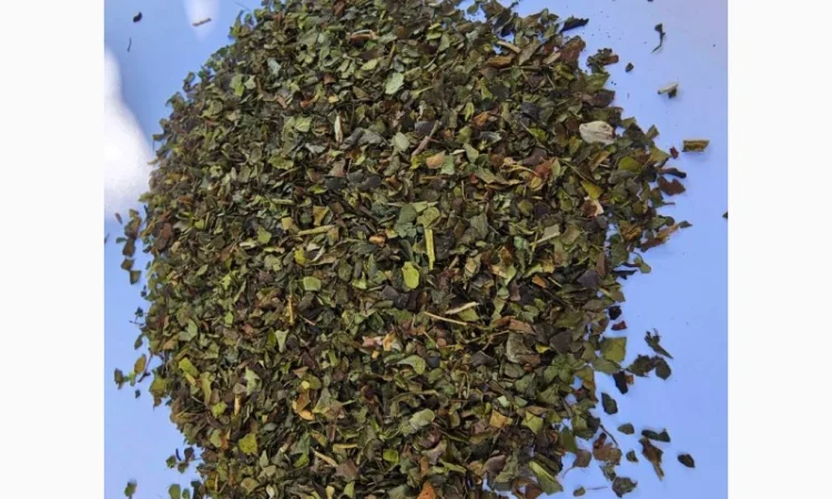 Чай зелений оптом - фото № 1