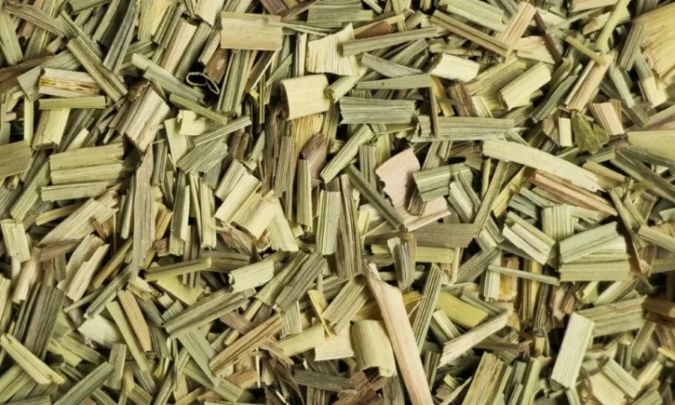 Лемонграсс опт та роздріб - фото № 1