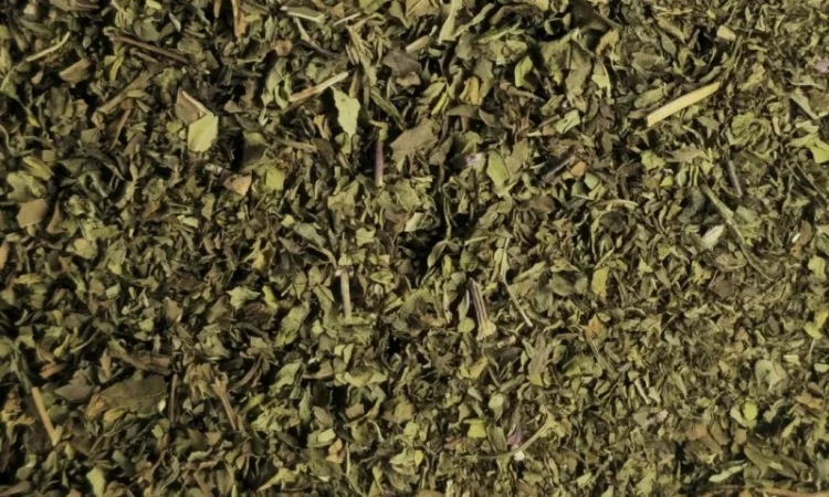 М'ята сушена опт та роздріб - фото № 1