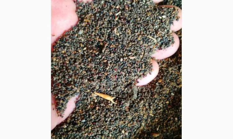 Куплю отходы кукурузы и сои - фото № 1