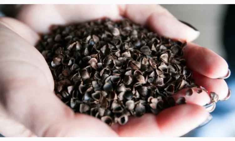 Продается лузга гречаная - фото № 1