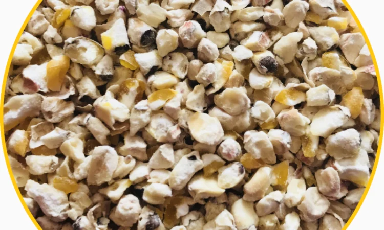 Кукурузный зародыш для производства - фото № 1