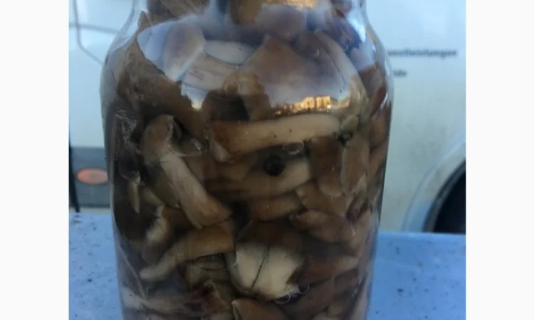 Чорнослив, Мариновані Гриби, Огірок, Помідор - фото № 2