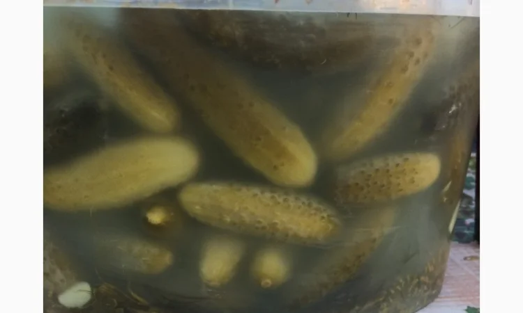 Чорнослив, Мариновані Гриби, Огірок, Помідор - фото № 4